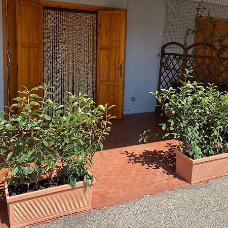 Umbria Vacanze Apartment Stroncone Exterior photo